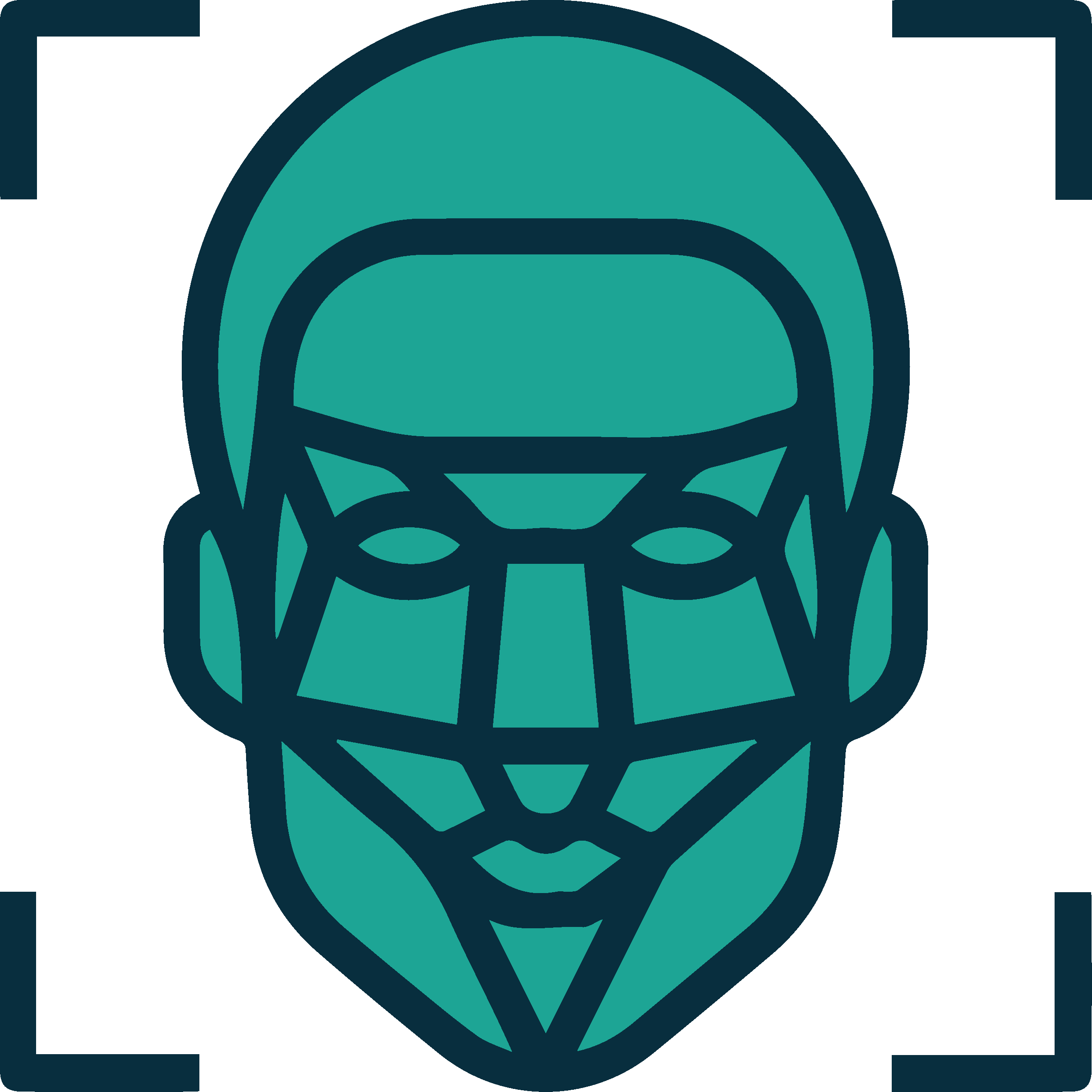 Facial Recognition